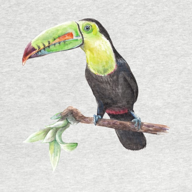 Watercolor Toucan Bird by wanderinglaur